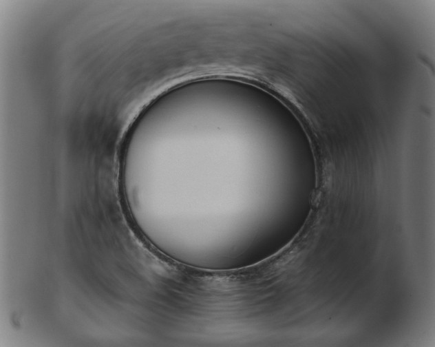X0000103431508200809121318