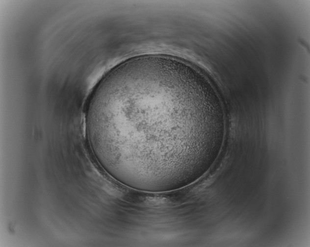 X0000103431509200809121318
