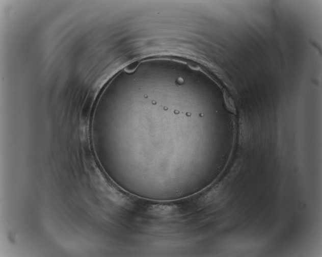 X0000103431513200809121318
