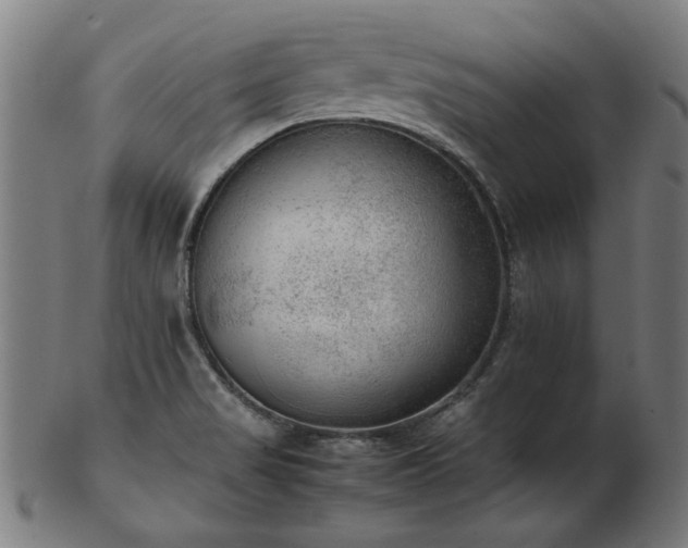 X0000103431517200809121318