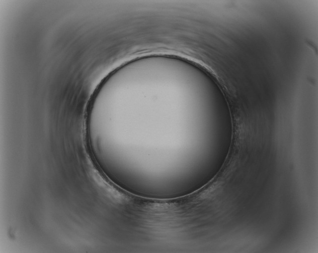 X0000103431518200809121318