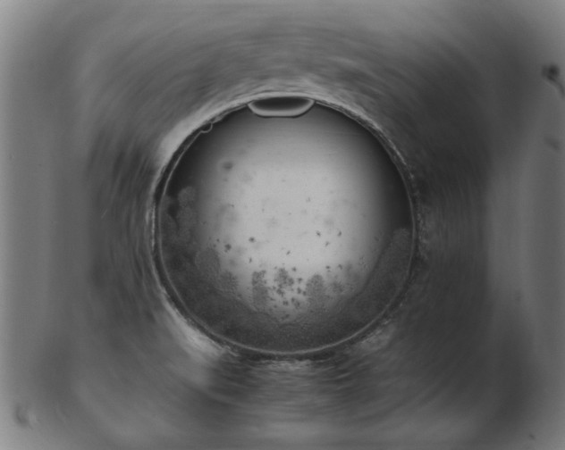 X0000103431519200809121318