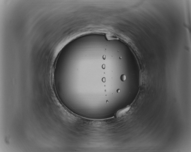 X0000103431520200809121318