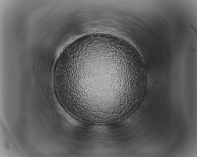 X0000103431525200809121318