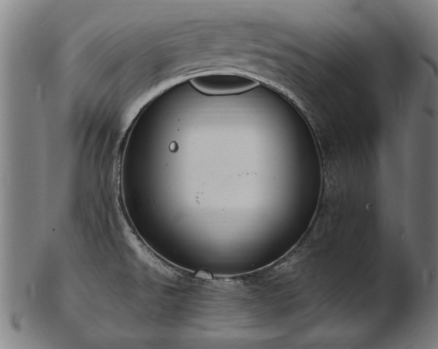 X0000103431526200809121318