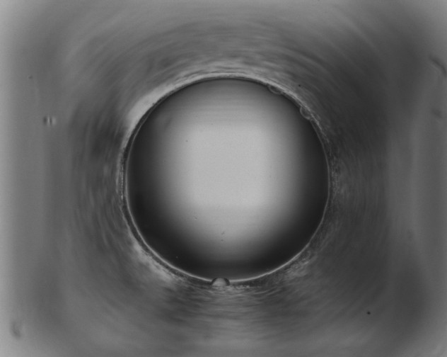 X0000103431527200809121318