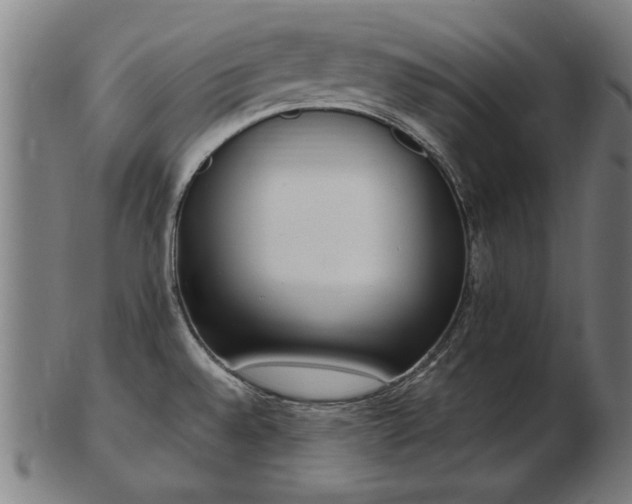 X0000103431528200809121318
