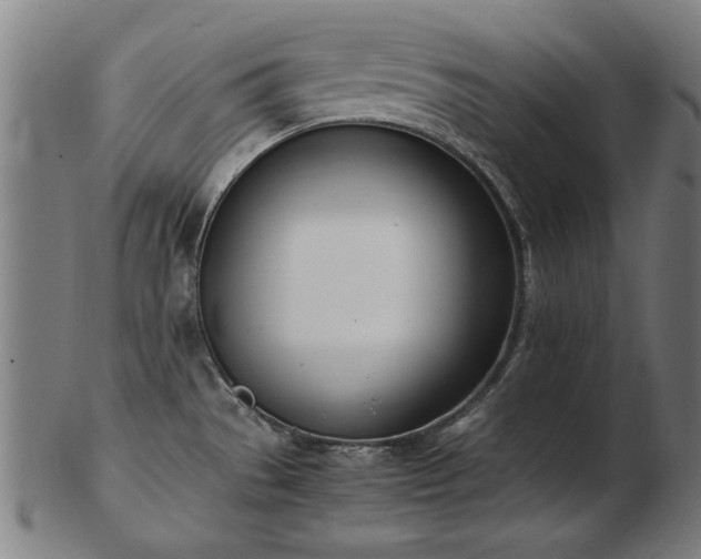 X0000103431529200809121318
