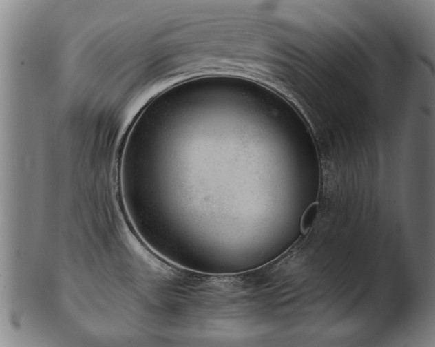 X0000103431531200809121318
