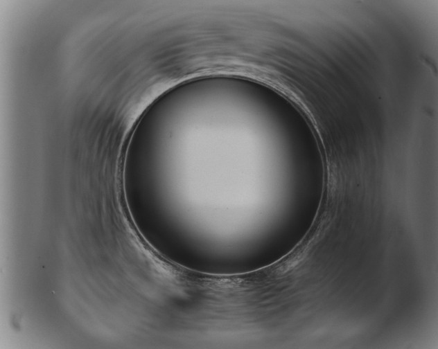 X0000103431533200809121318