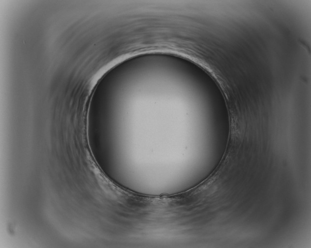 X0000103431534200809121318