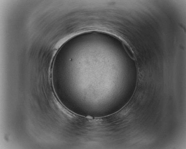 X0000103431535200809121318