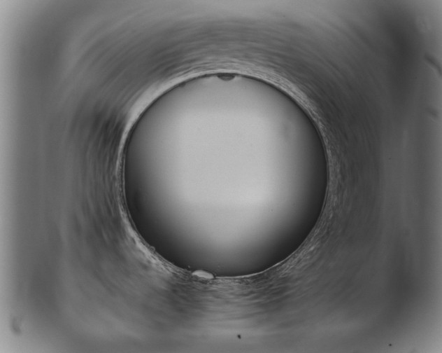 X0000103431536200809121318