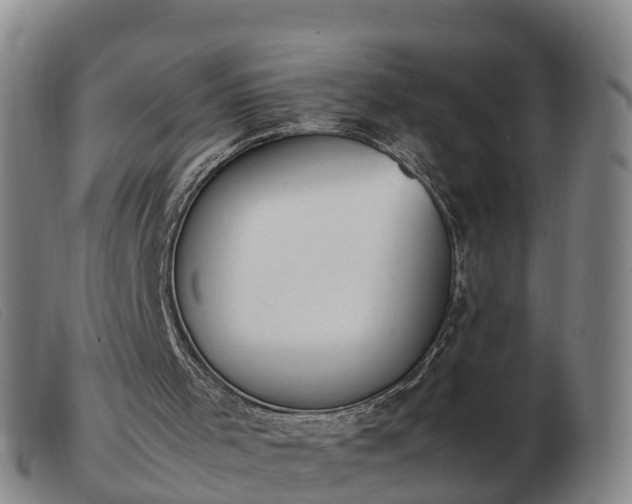 X0000103430001200809191712