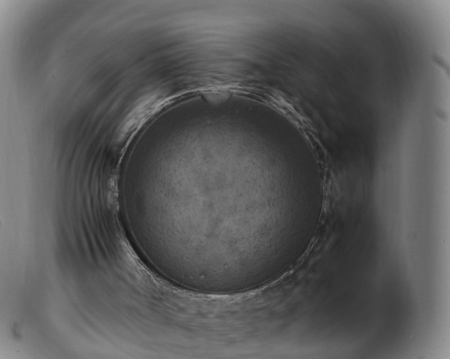 X0000103430002200809191712