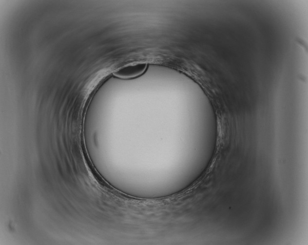 X0000103430003200809191712