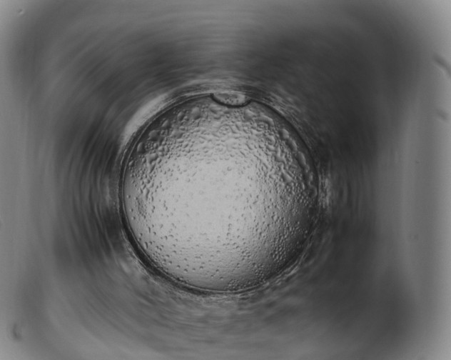 X0000103430004200809191712