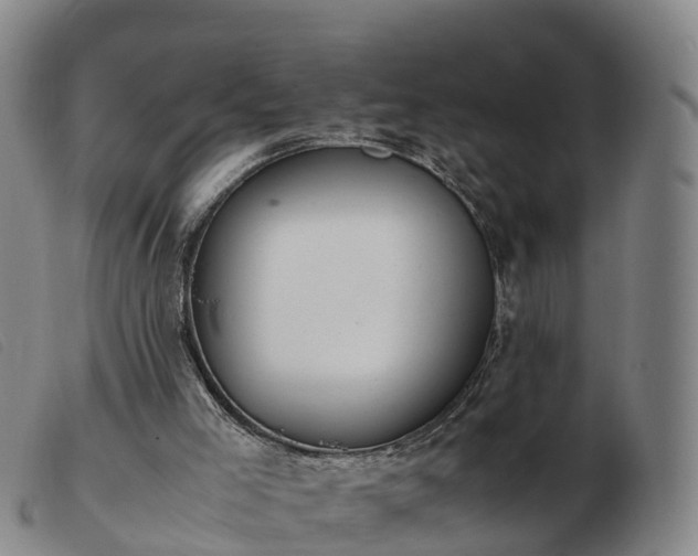 X0000103430005200809191712