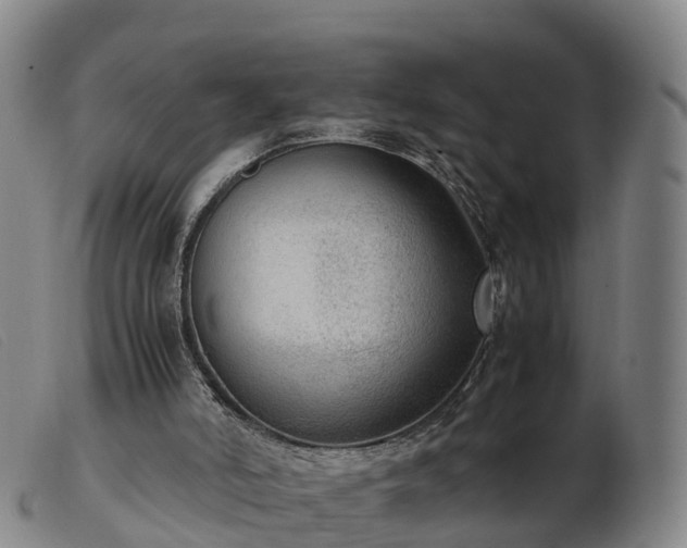 X0000103430006200809191712