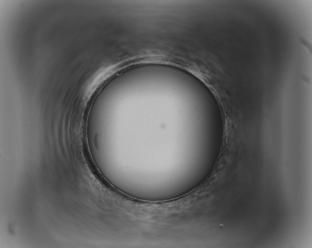 X0000103430007200809191712