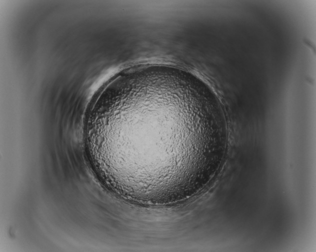 X0000103430008200809191712