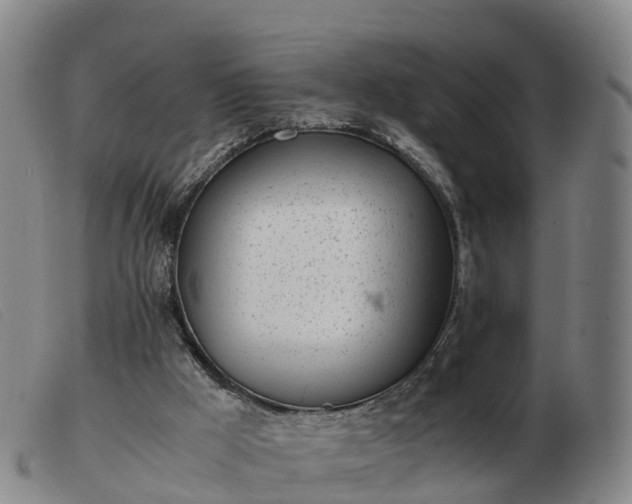 X0000103430009200809191712