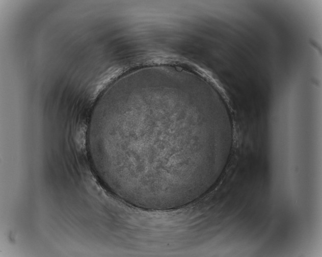 X0000103430010200809191711