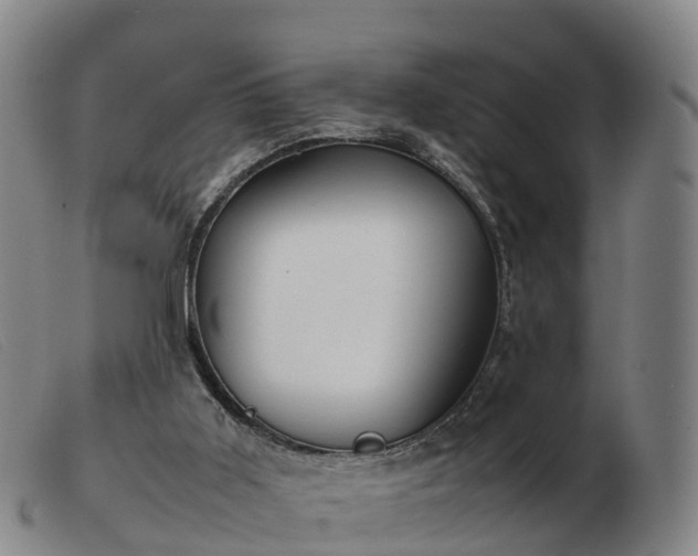 X0000103430011200809191711