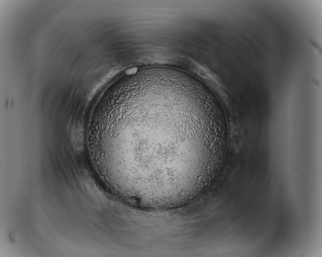 X0000103430012200809191711