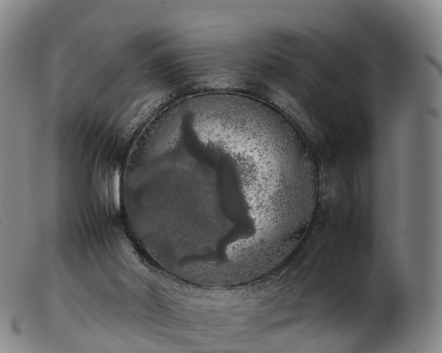 X0000103430014200809191711