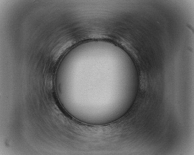 X0000103430015200809191711