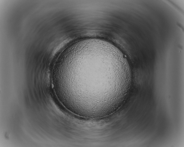 X0000103430016200809191711