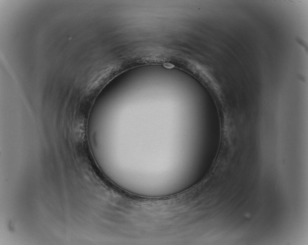 X0000103430017200809191711