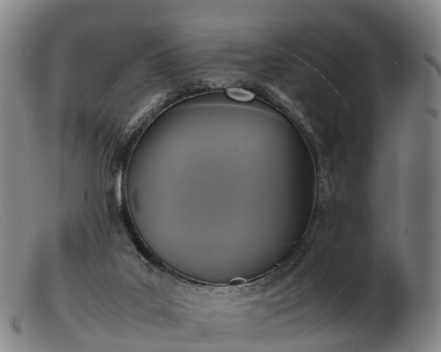 X0000103430019200809191711