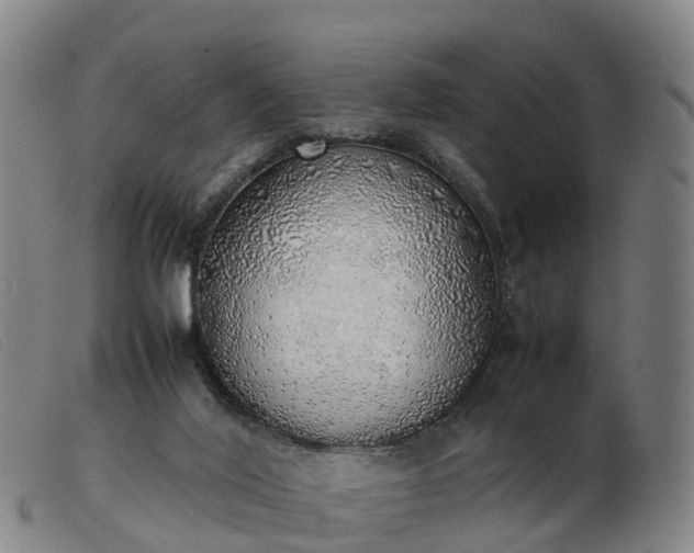 X0000103430020200809191711