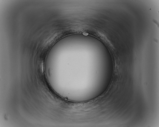 X0000103430021200809191711