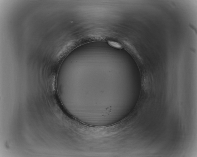 X0000103430023200809191711