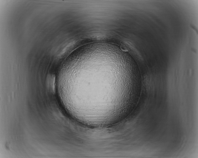 X0000103430024200809191711