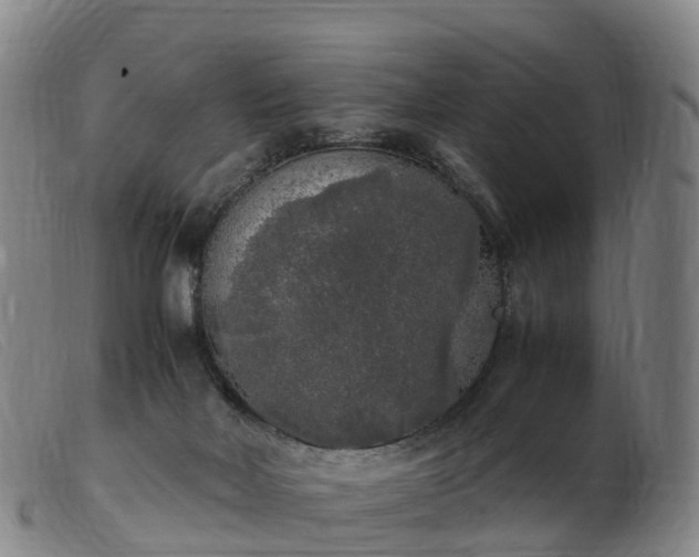 X0000103430026200809191711