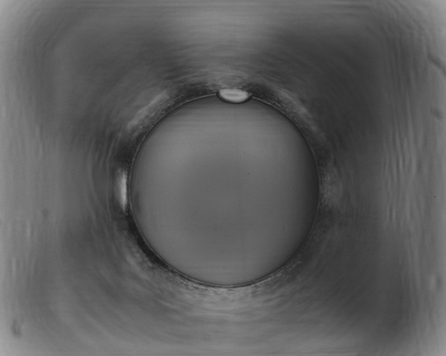 X0000103430027200809191711