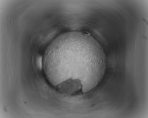 X0000103430028200809191711