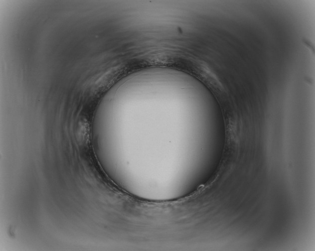 X0000103430029200809191711