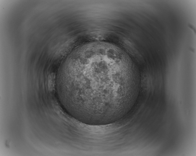 X0000103430030200809191711