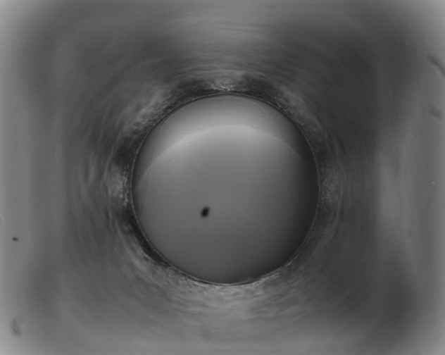 X0000103430031200809191711