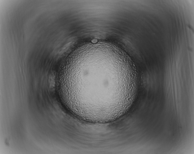 X0000103430032200809191711