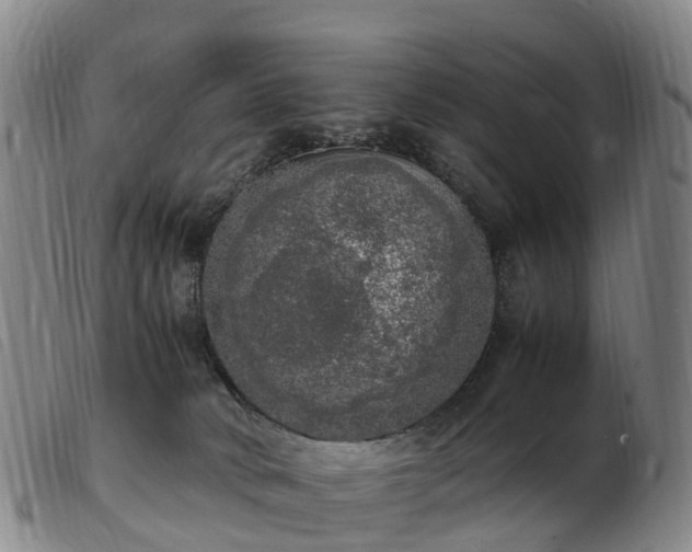 X0000103430034200809191711