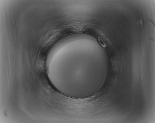 X0000103430035200809191711