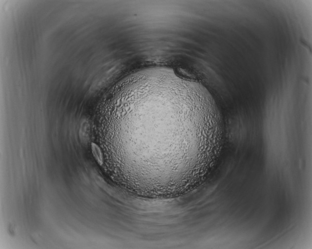 X0000103430036200809191711