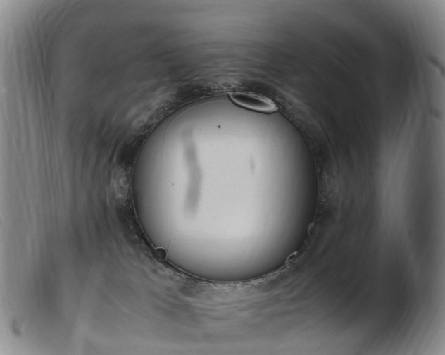 X0000103430037200809191711