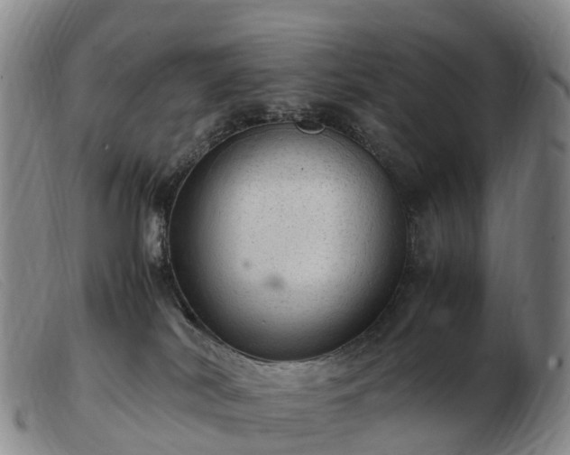 X0000103430038200809191711